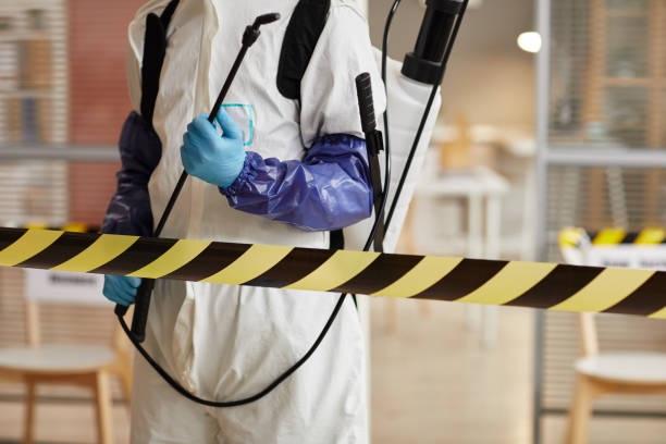 Professional Sewage Cleanup technician working in Aguila, AZ